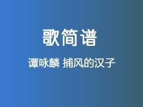 谭咏麟《捕风的汉子》简谱D调简单音独奏谱