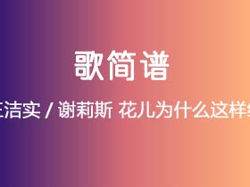 王洁实/谢莉斯《花儿为什么这样红》简谱C调钢琴谱单音独奏谱