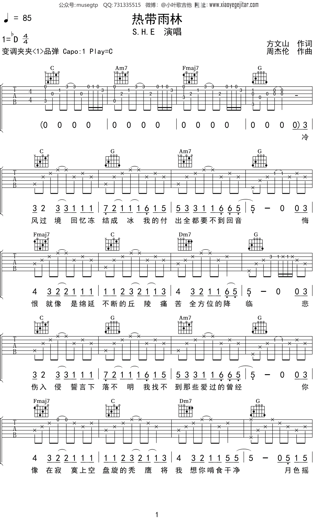 热带雨林吉他谱_SHE_C调指弹 - 吉他世界