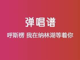 呼斯楞《我在纳林湖等着你》吉他谱C调吉他弹唱谱