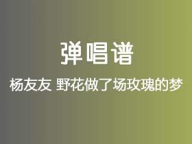 杨友友《野花做了场玫瑰的梦》吉他谱C调吉他弹唱谱