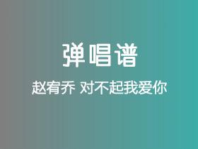 赵宥乔《对不起我爱你》吉他谱G调吉他弹唱谱