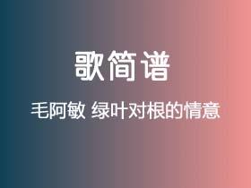 毛阿敏《绿叶对根的情意》简谱Bb调钢琴指弹独奏谱