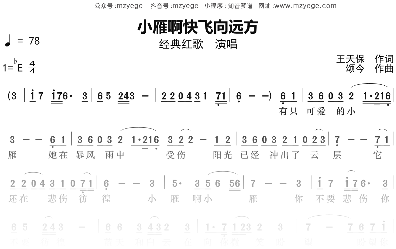 老歌经典《小雁啊快飞向远方》简谱Eb调钢琴指弹独奏谱