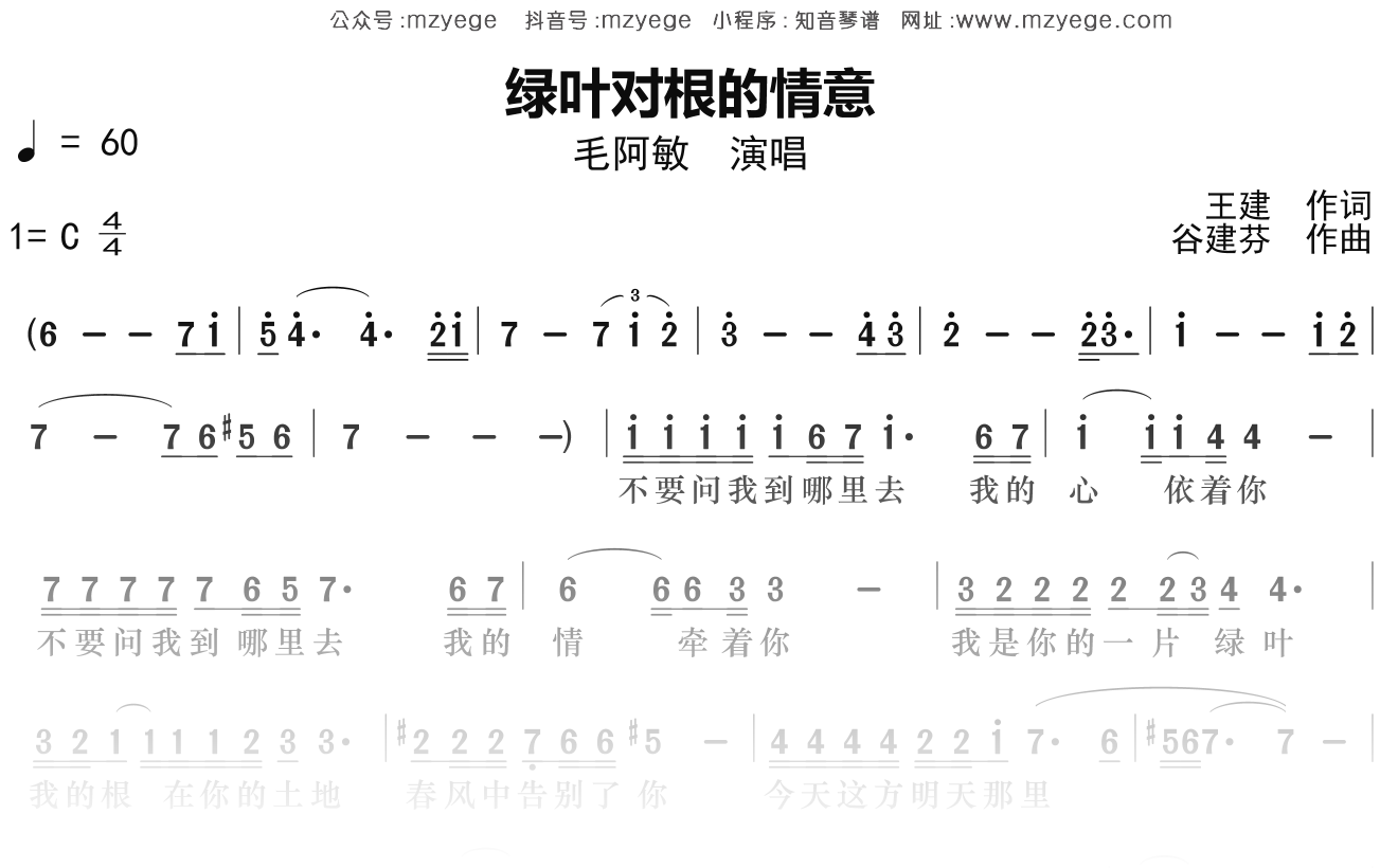 毛阿敏《绿叶对根的情意》简谱Bb调钢琴指弹独奏谱