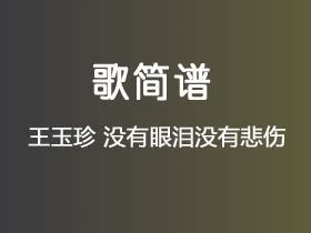 王玉珍《没有眼泪没有悲伤》简谱G调钢琴指弹独奏谱