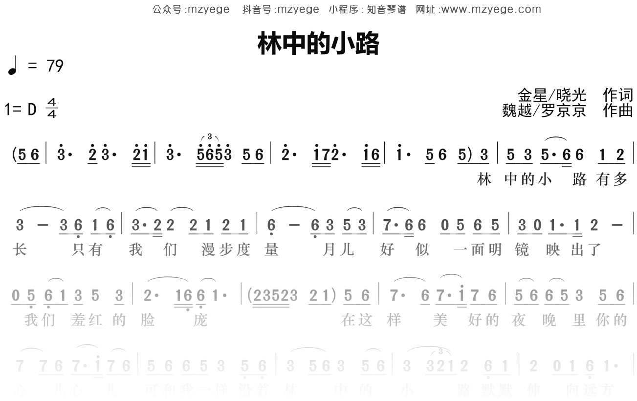 杨钰莹《林中的小路》简谱D调钢琴指弹独奏谱