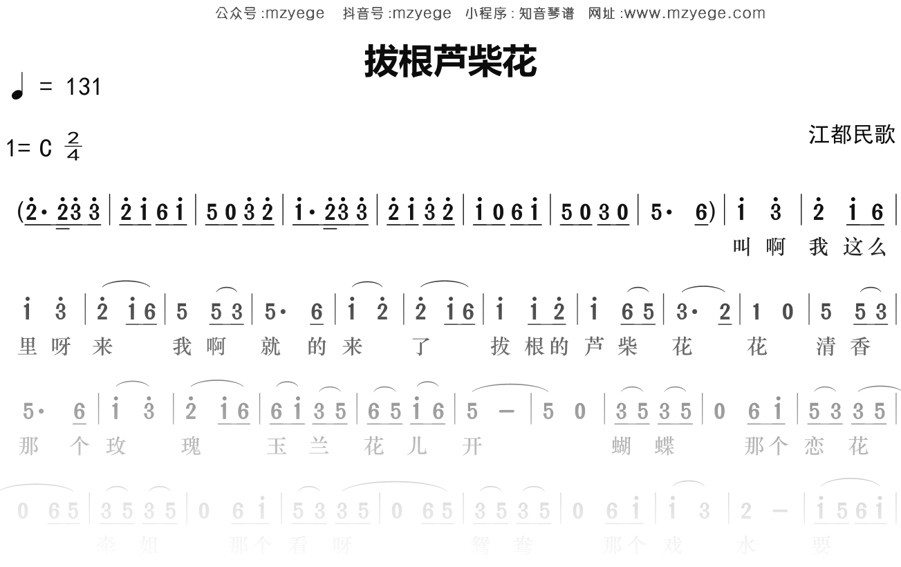 群星《拔根芦柴花》简谱C调钢琴指弹独奏谱
