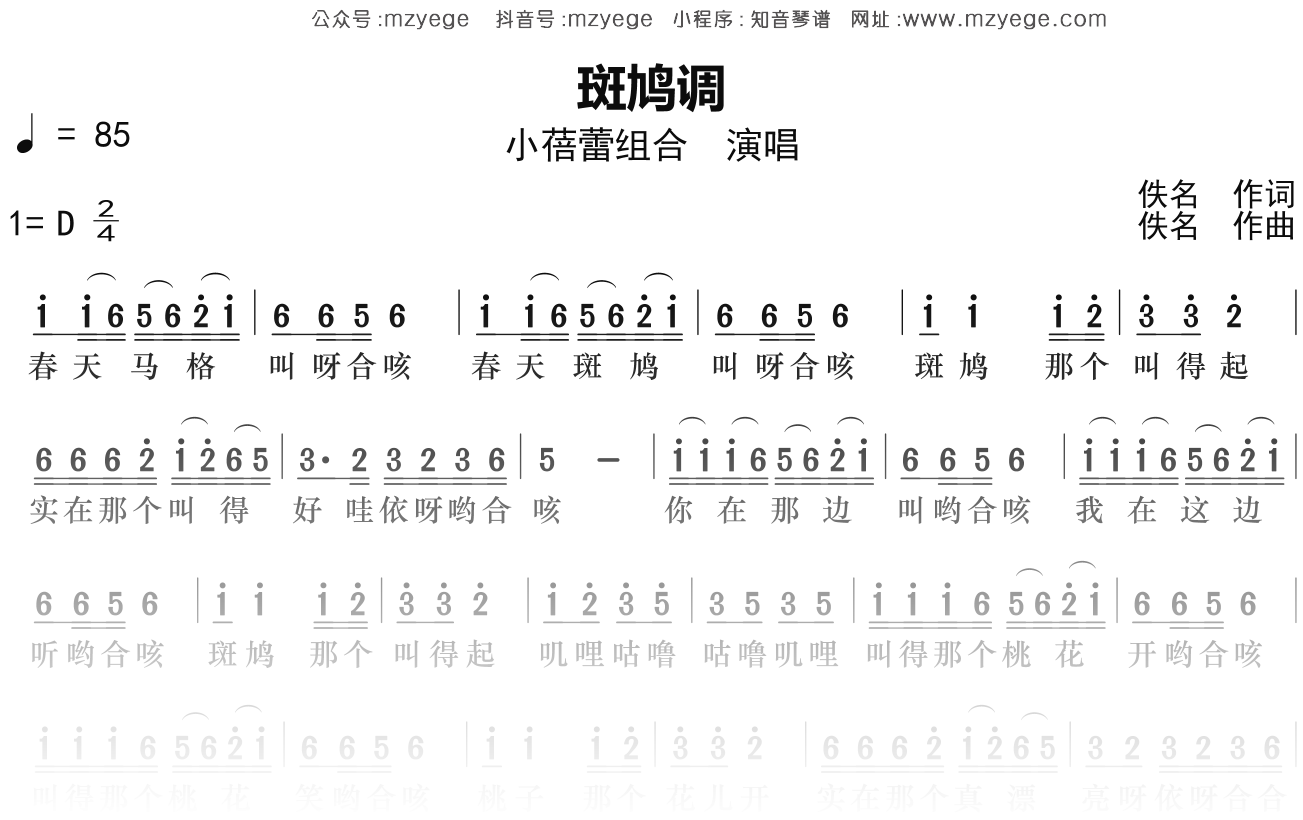小蓓蕾组合《斑鸠调》简谱D调钢琴指弹独奏谱