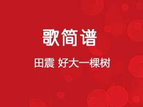 田震《好大一棵树》简谱B调钢琴指弹独奏谱