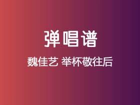 魏佳艺《举杯敬往后》吉他谱G调吉他弹唱谱