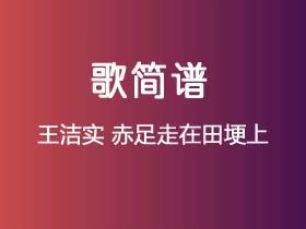 王洁实《赤足走在田埂上》简谱D调钢琴指弹独奏谱