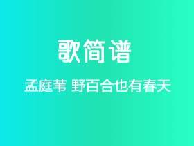 孟庭苇《野百合也有春天》简谱C调钢琴弹唱谱