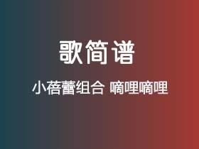 小蓓蕾组合《嘀哩嘀哩》简谱F调钢琴指弹独奏谱