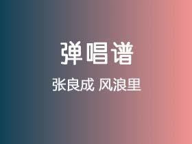 张良成《风浪里》吉他谱C调吉他弹唱谱