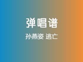 孙燕姿《逃亡》吉他谱C调吉他弹唱谱