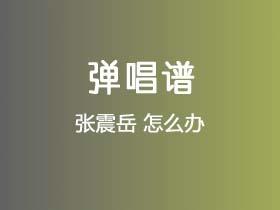 张震岳《怎么办》吉他谱G调吉他弹唱谱