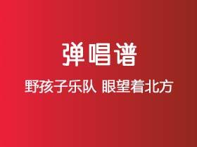 野孩子乐队《眼望着北方》吉他谱C调吉他弹唱谱