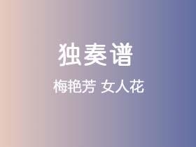 梅艳芳《女人花》吉他谱G调吉他指弹独奏谱