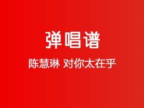 陈慧琳《对你太在乎》吉他谱C调吉他弹唱谱