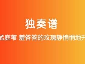 孟庭苇《羞答答的玫瑰静悄悄地开》吉他谱C调吉他指弹独奏谱