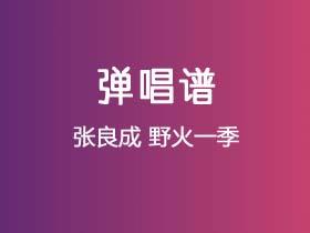 张良成《野火一季》吉他谱C调吉他弹唱谱