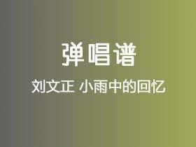 刘文正《小雨中的回忆》吉他谱C调吉他弹唱谱