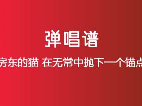 房东的猫《在无常中抛下一个锚点》吉他谱G调吉他弹唱谱