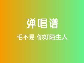 毛不易《你好陌生人》吉他谱C调吉他弹唱谱