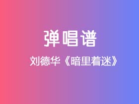 刘德华《暗里着迷》吉他谱C调吉他弹唱谱