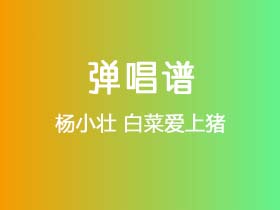 杨小壮《白菜爱上猪》吉他谱G调吉他弹唱谱