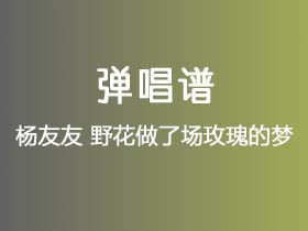 杨友友《野花做了场玫瑰的梦》吉他谱C调吉他弹唱谱