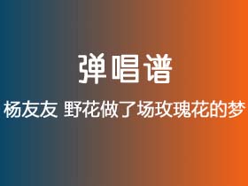 杨友友《野花做了场玫瑰花的梦》吉他谱C调吉他弹唱谱