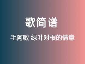毛阿敏《绿叶对根的情意》简谱Bb调钢琴指弹独奏谱