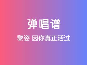 黎姿《因你真正活过》吉他谱G调吉他弹唱谱