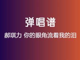 郝琪力《你的眼角流着我的泪》吉他谱C调吉他弹唱谱