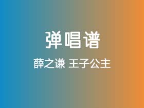 薛之谦《王子公主》吉他谱D调吉他弹唱谱