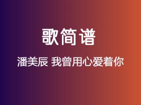 潘美辰《我曾用心爱着你》简谱G调钢琴弹唱谱