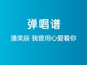 潘美辰《我曾用心爱着你》吉他谱C调吉他弹唱谱