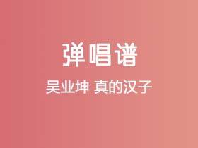 吴业坤《真的汉子》吉他谱G调吉他弹唱谱