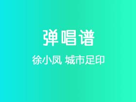 徐小凤《城市足印》吉他谱D调吉他弹唱谱
