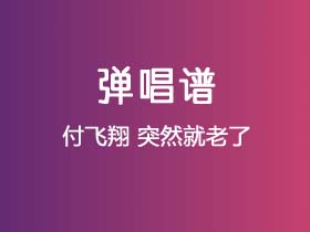 付飞翔《突然就老了》吉他谱G调吉他弹唱谱