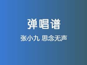 张小九《思念无声》吉他谱G调吉他弹唱谱