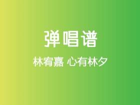 林宥嘉《心有林夕》吉他谱D调吉他弹唱谱