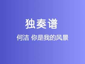 何洁《你是我的风景》吉他谱C调吉他指弹独奏谱