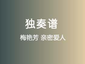 梅艳芳《亲密爱人》吉他谱G调吉他指弹独奏谱