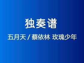 五月天/蔡依林《玫瑰少年》吉他谱G调吉他指弹独奏谱