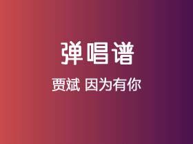 贾斌《因为有你》吉他谱C调吉他弹唱谱