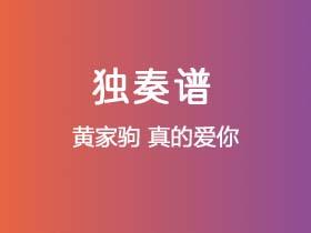 黄家驹《真的爱你》吉他谱C调吉他指弹独奏谱