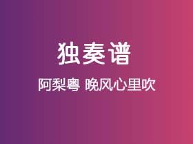 阿梨粤《晚风心里吹》吉他谱G调吉他指弹独奏谱